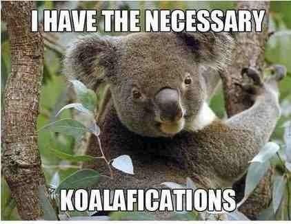 Care of Magical Creatures Application Koalifications
